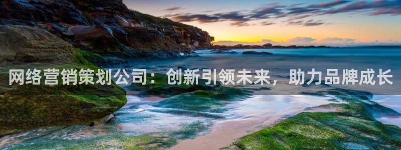 必赢国际a600典cc注册：网