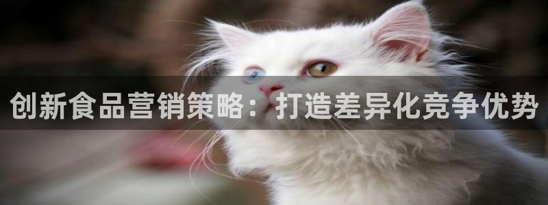 必赢手机app下载 最新版：创