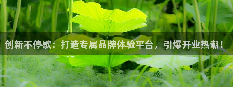 必赢3003注册3003登录