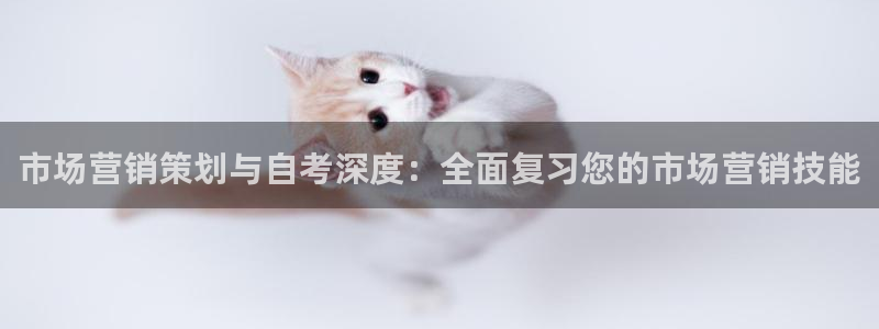 必赢科技有限公司