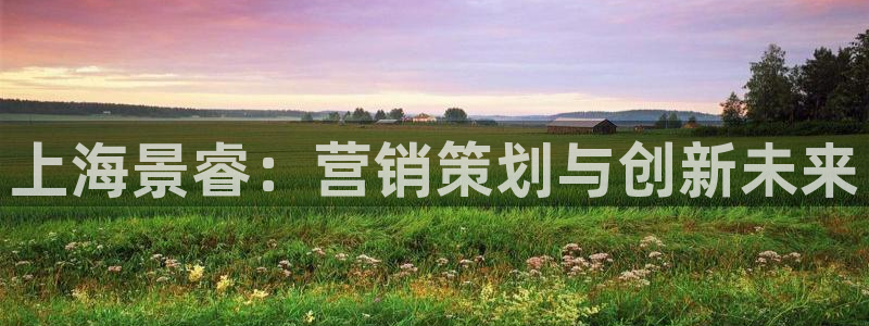 必赢棋盘9965.0版本