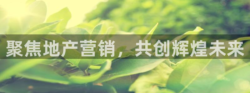 必赢官网入口下载安装苹果