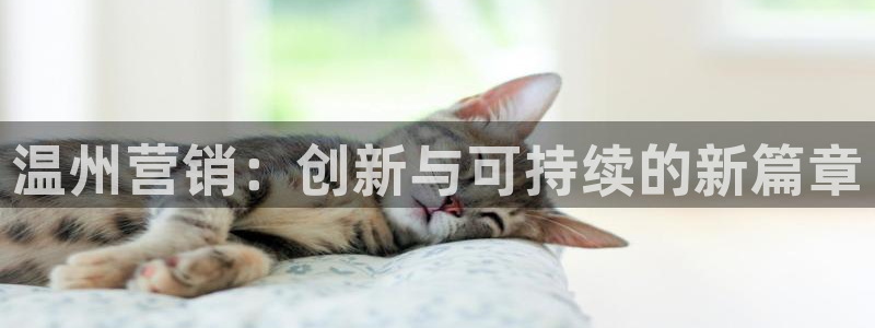 必赢72886网址多少啊