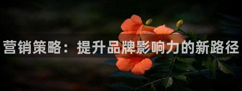 必赢3003必赢贵族宾会：营销