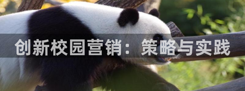 必赢官网app下载安装手机版最